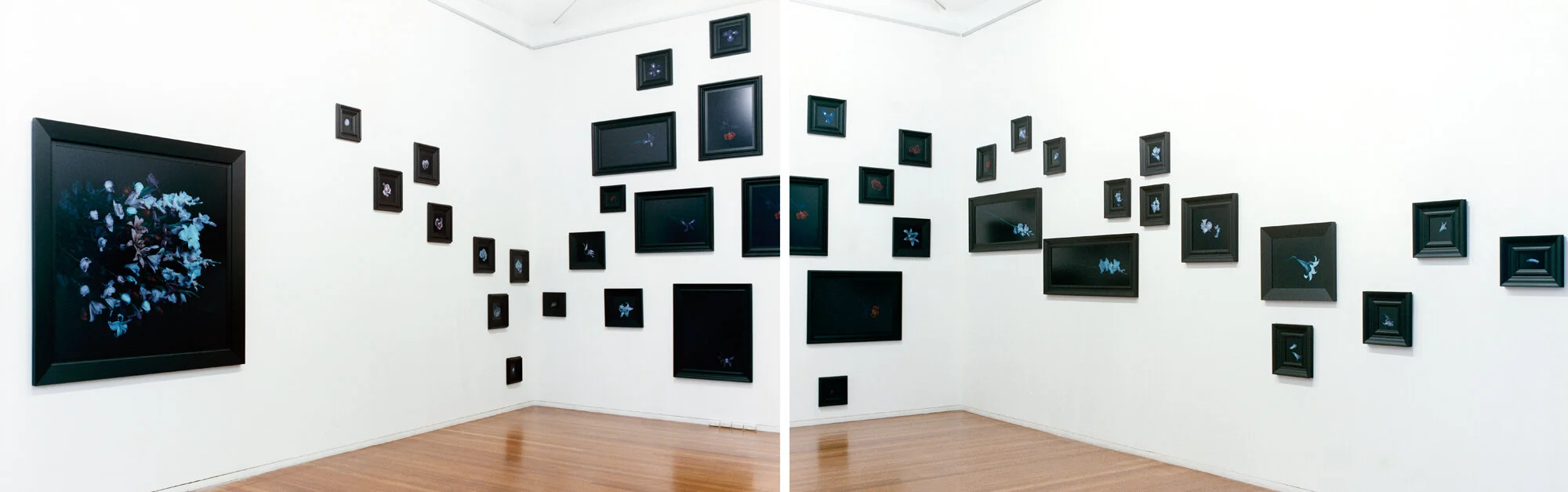 Ophelia, Roslyn Oxley9 Gallery, Sydney