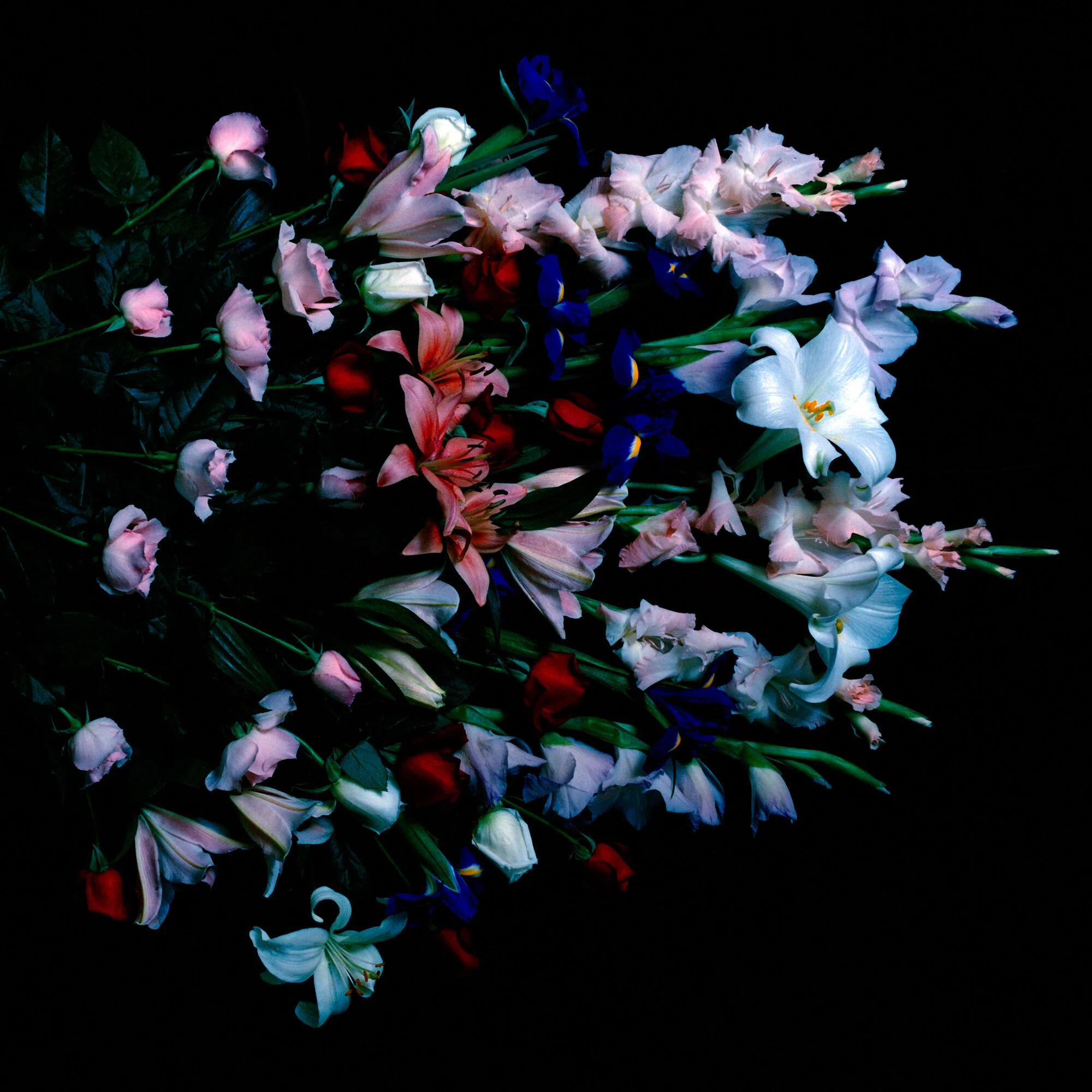 Anne MacDonald, Ophelia 1, 1993