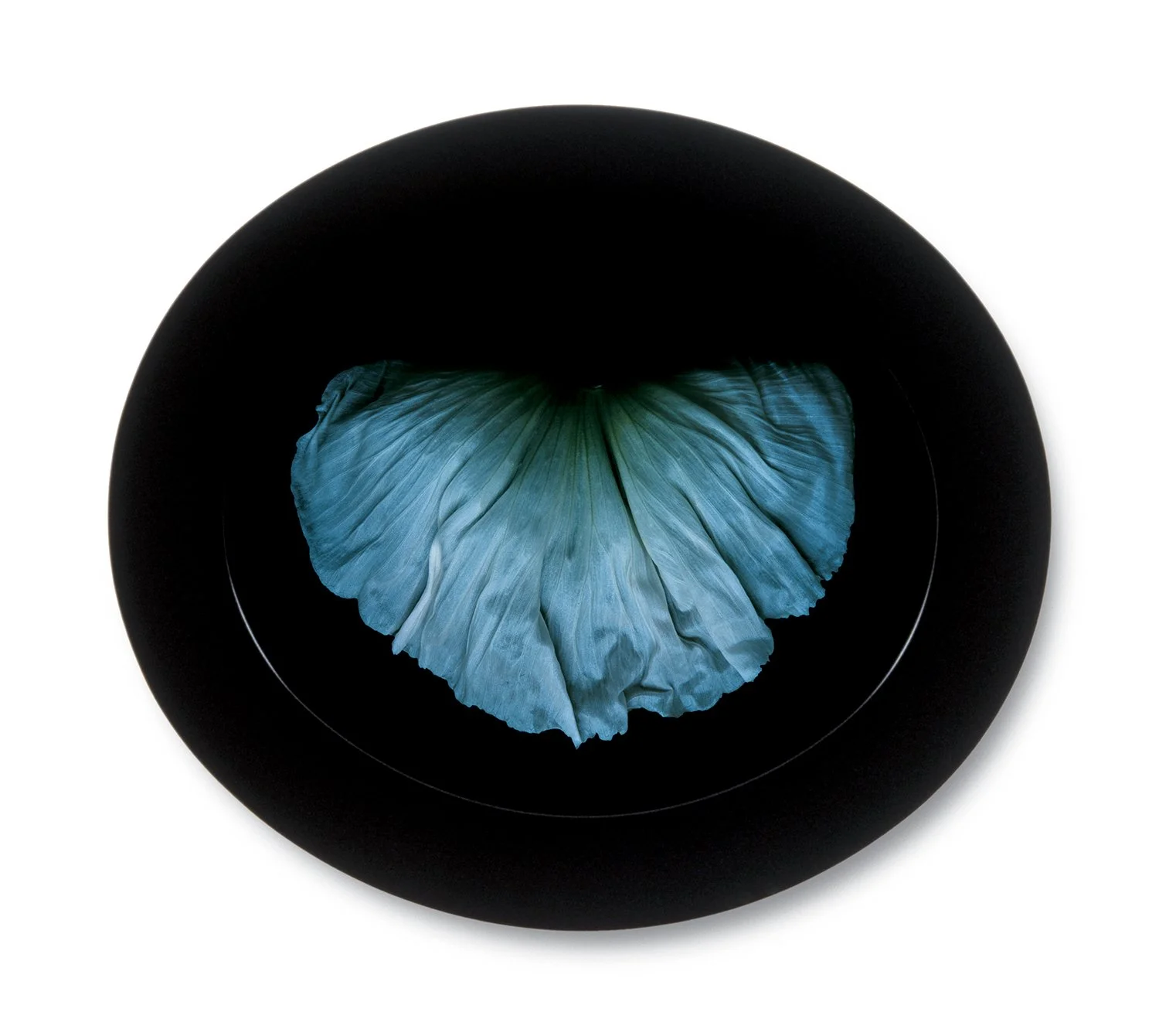 Petal