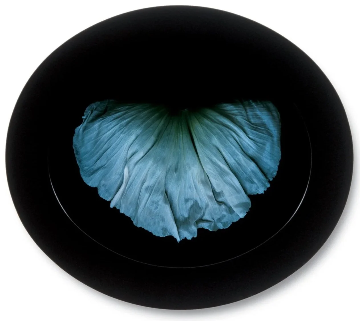 Poppy 2