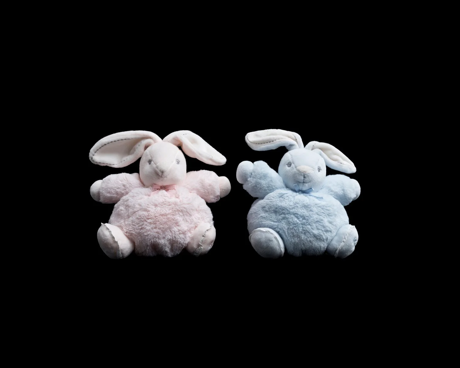 Bunnies 7