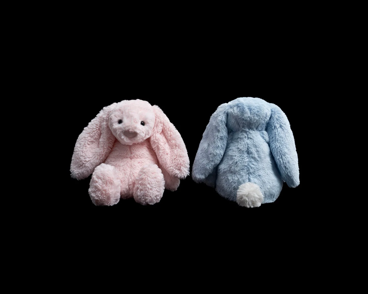 Bunnies 3