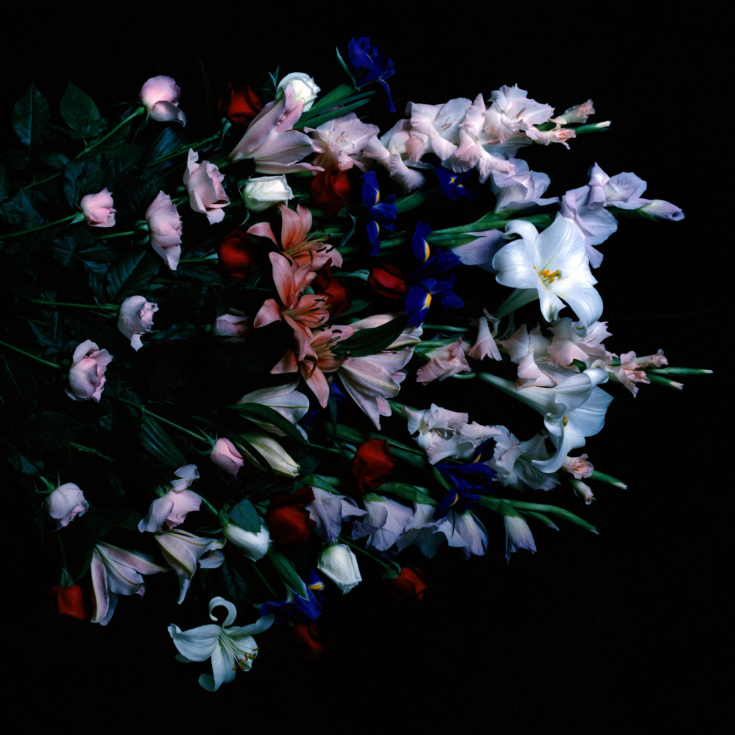 Ophelia 1
