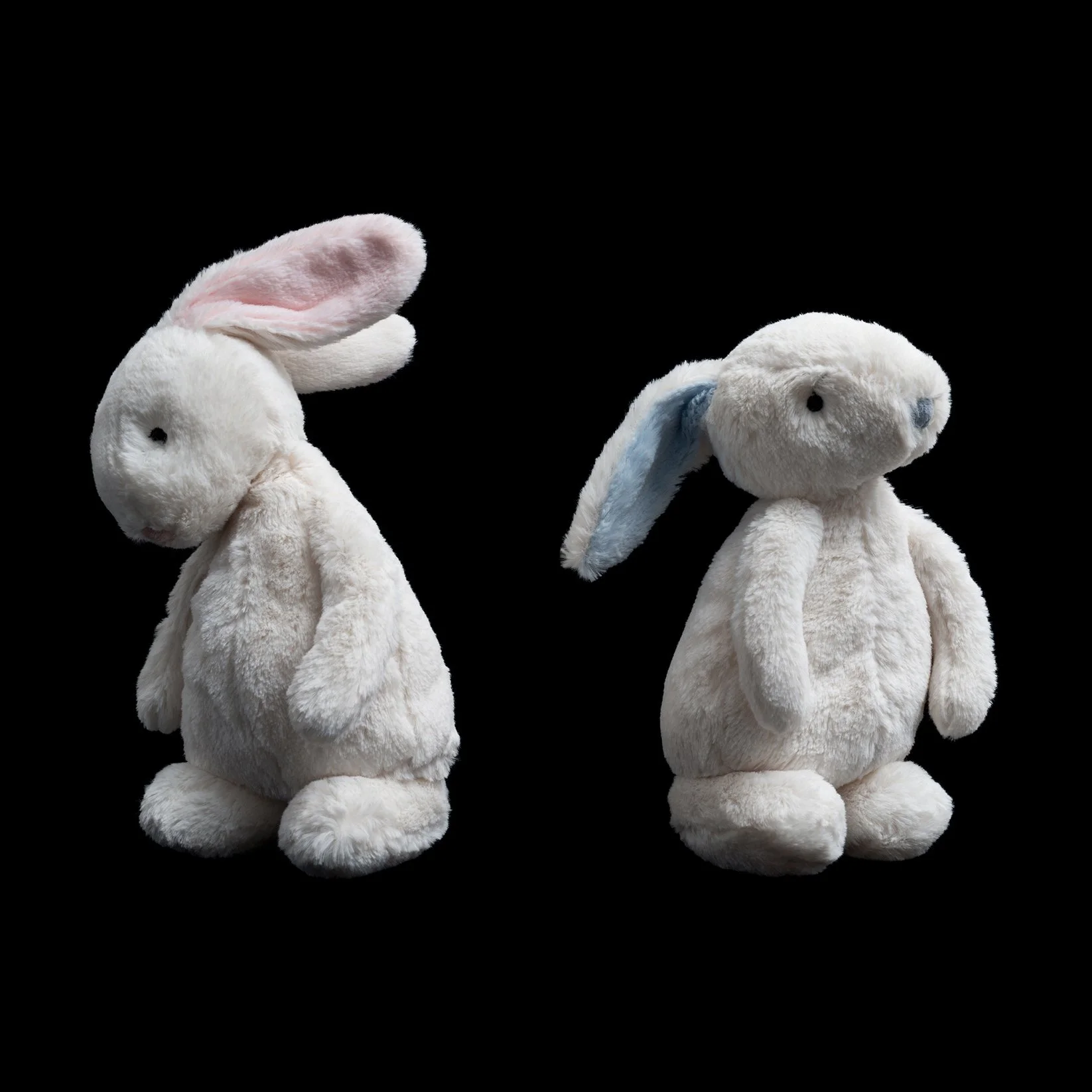 Bunnies 1