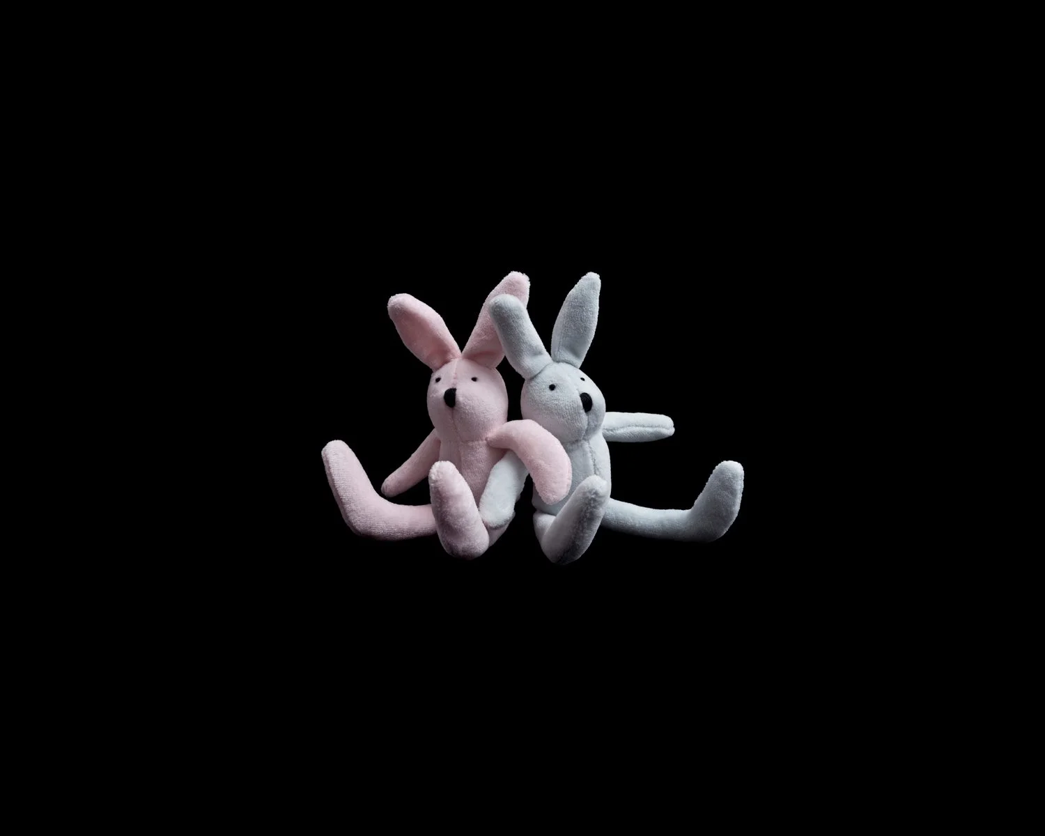 Bunnies 4