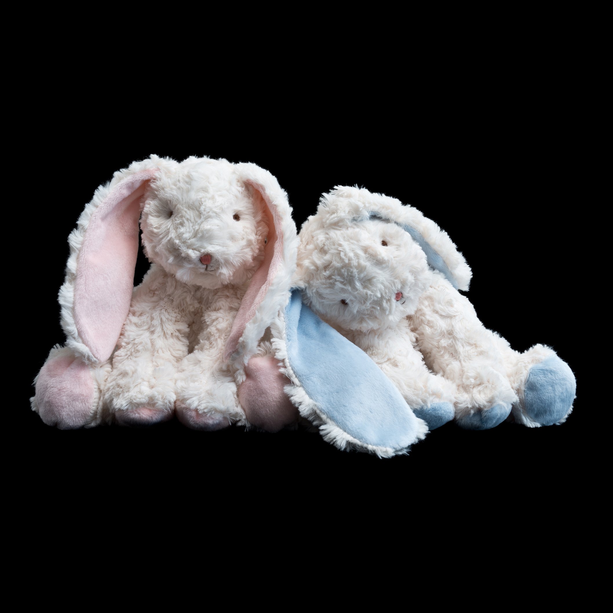 Bunnies 5