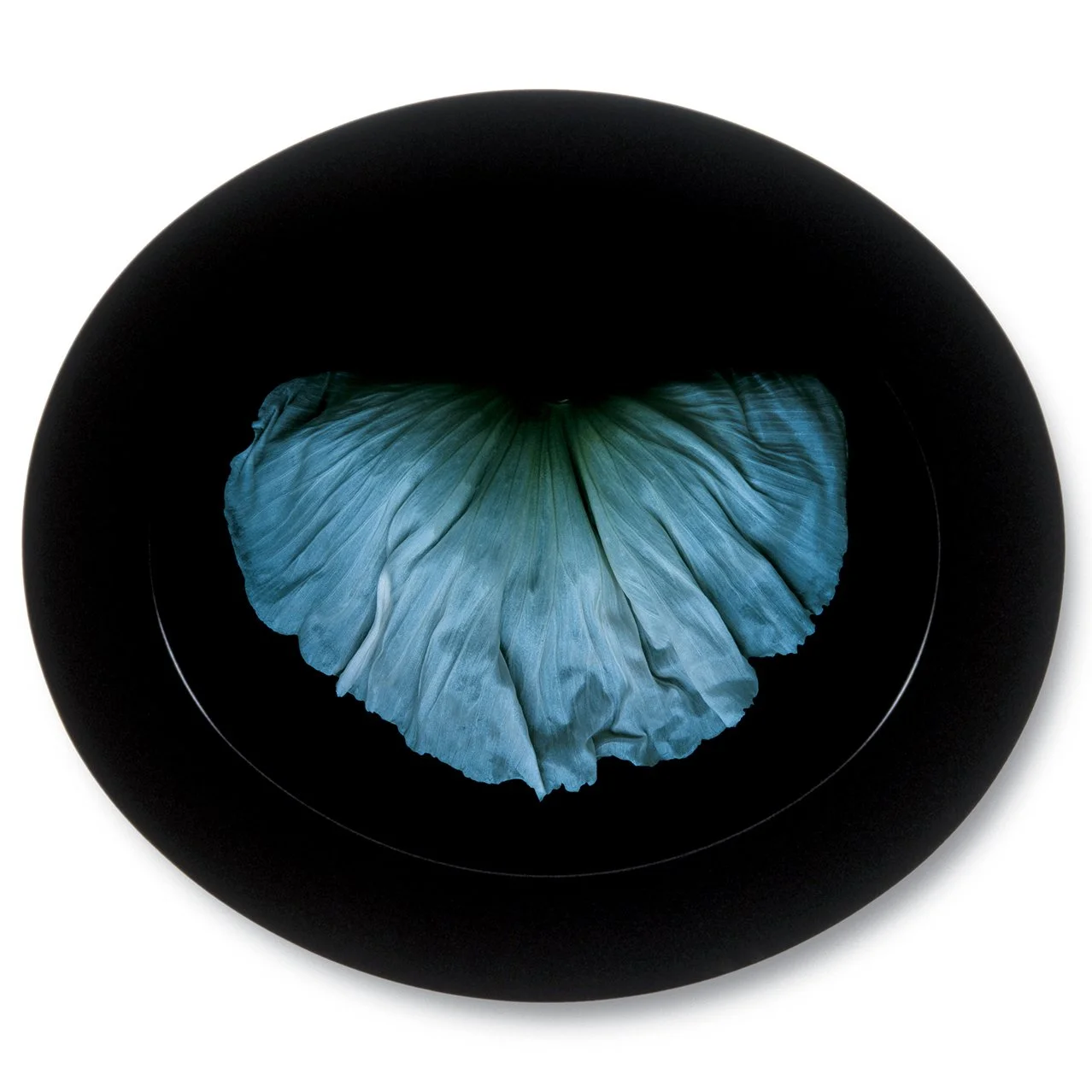 Poppy 2