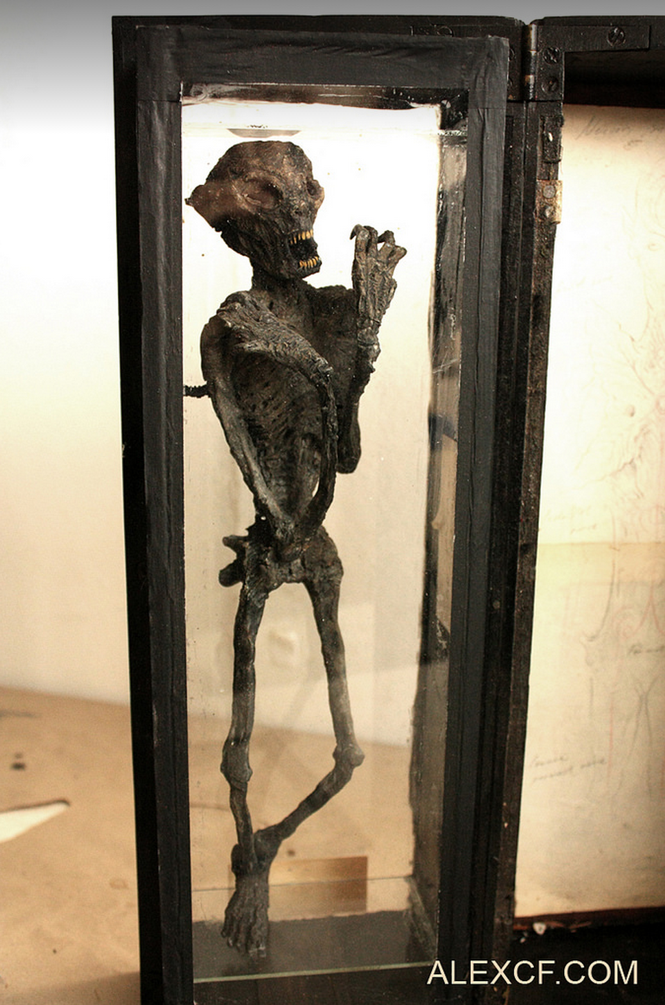 Screen Shot 2014-06-26 at 10.30.19.png