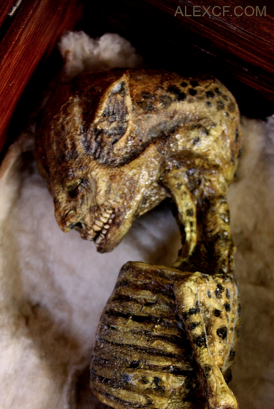 Screen Shot 2014-06-26 at 15.57.28.png