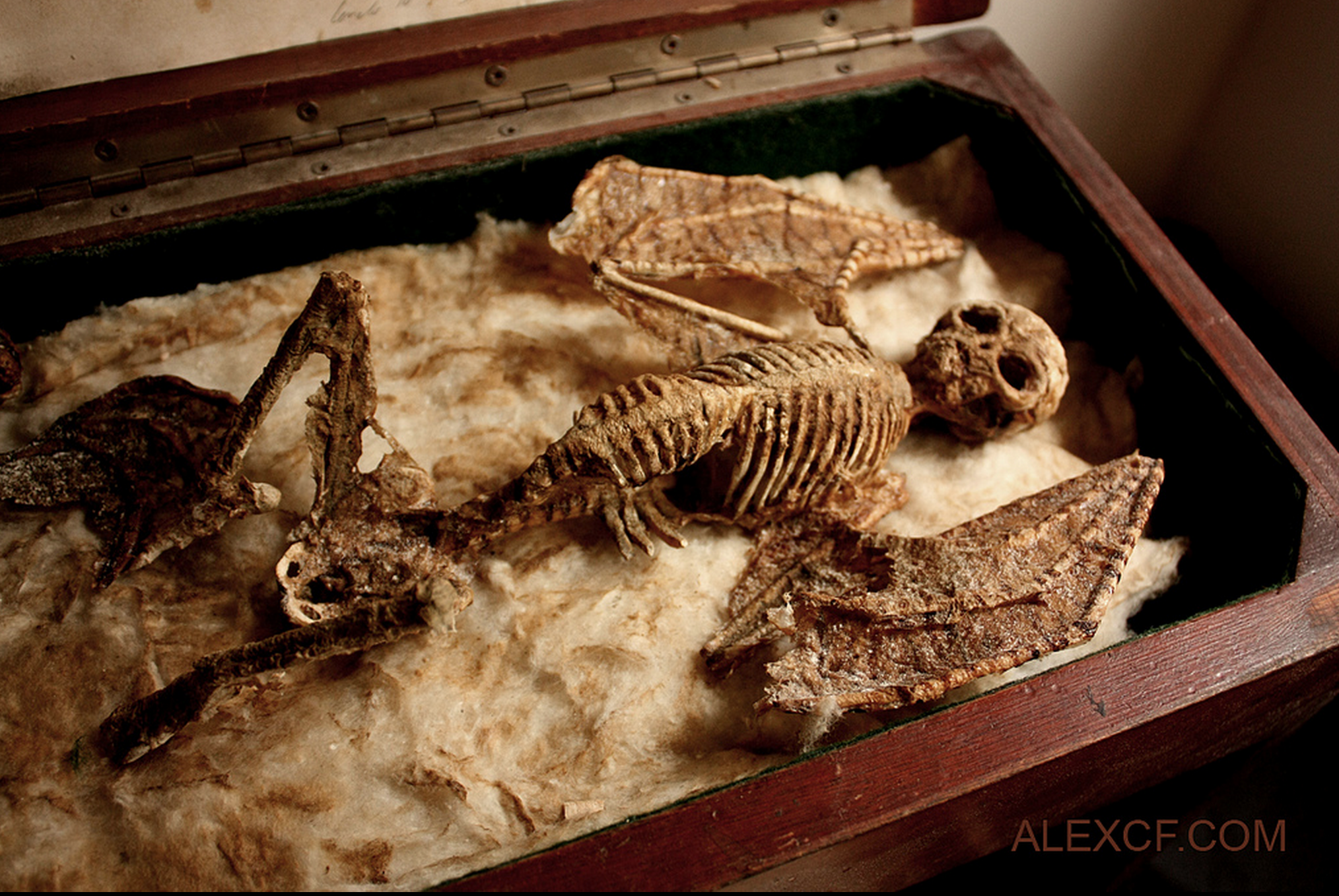 Screen Shot 2014-06-26 at 16.05.12.png