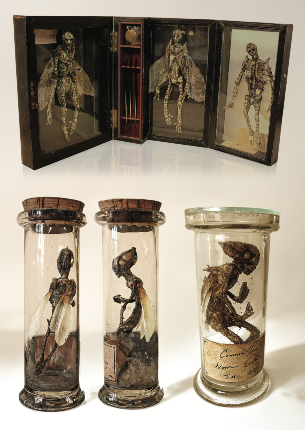 Screenshot 2025-08-12 at 10.31.26.png