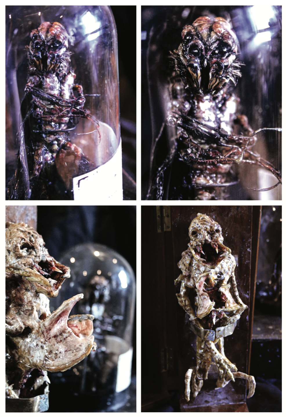 Screenshot 2025-08-12 at 10.31.48.png