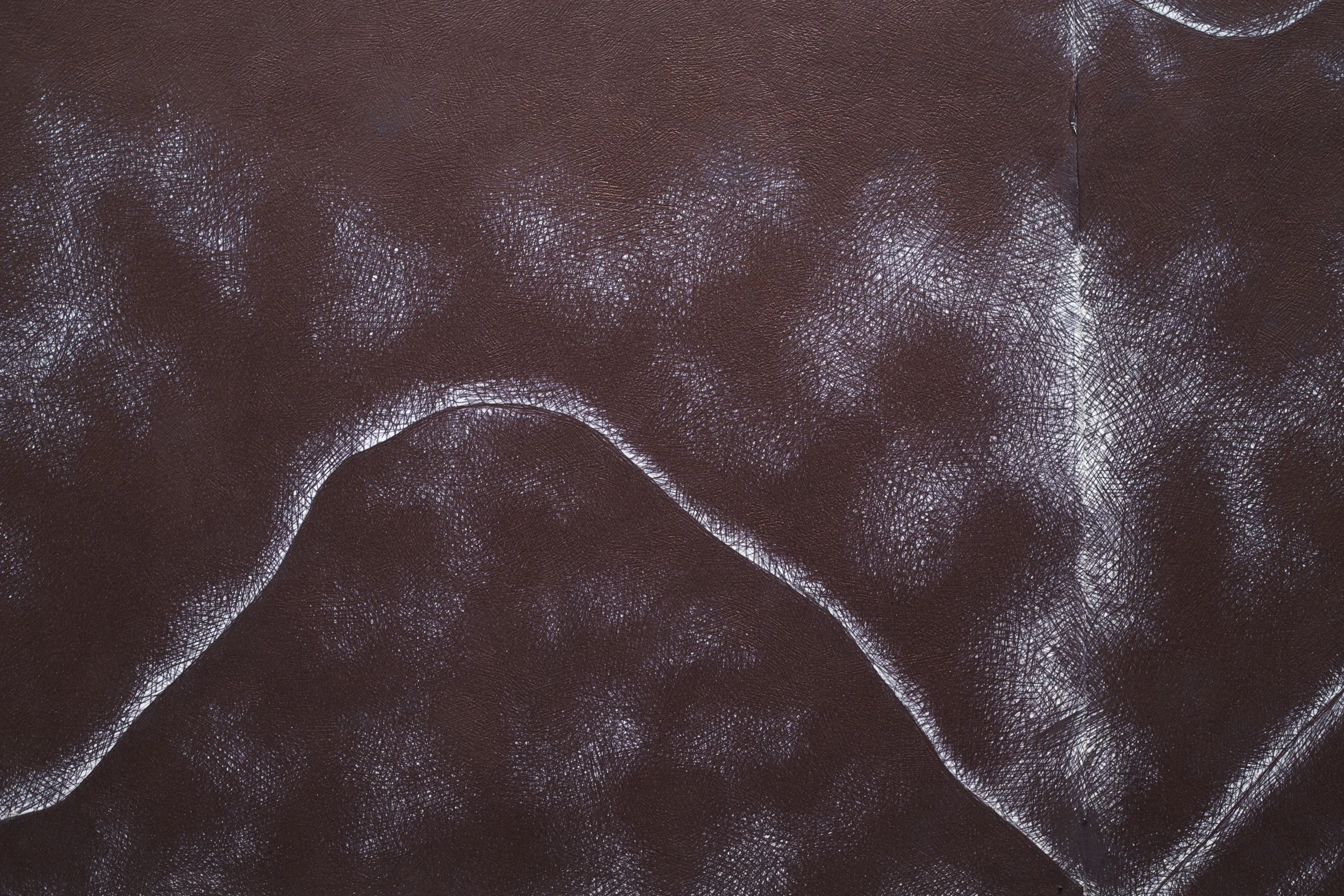 Garden of the Gods (detail), 3.75m x 2m biro on watercolour paper, 2014