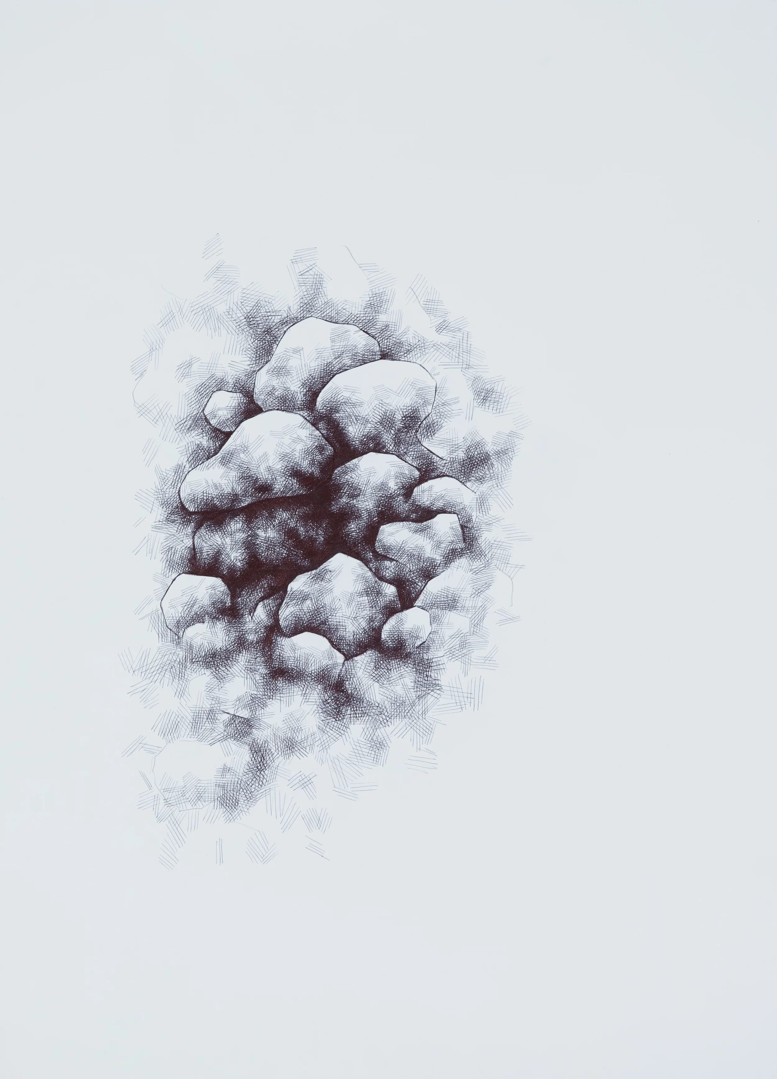 From Nothing Comes Everything , biro on watercolour paper, 1m x 75cm, 2016