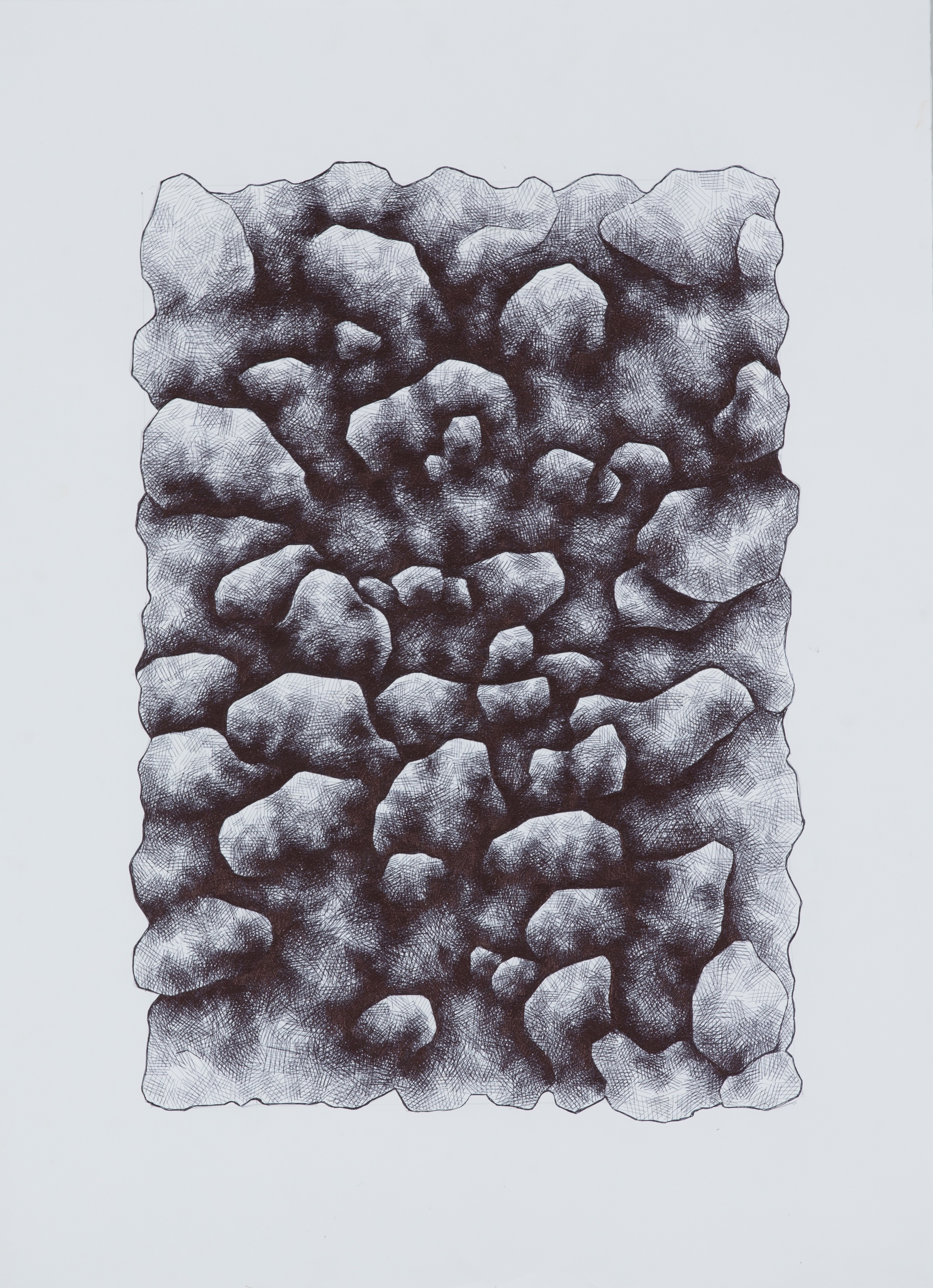 Untitled, biro on watercolour paper, 1m x 75cm, 2015