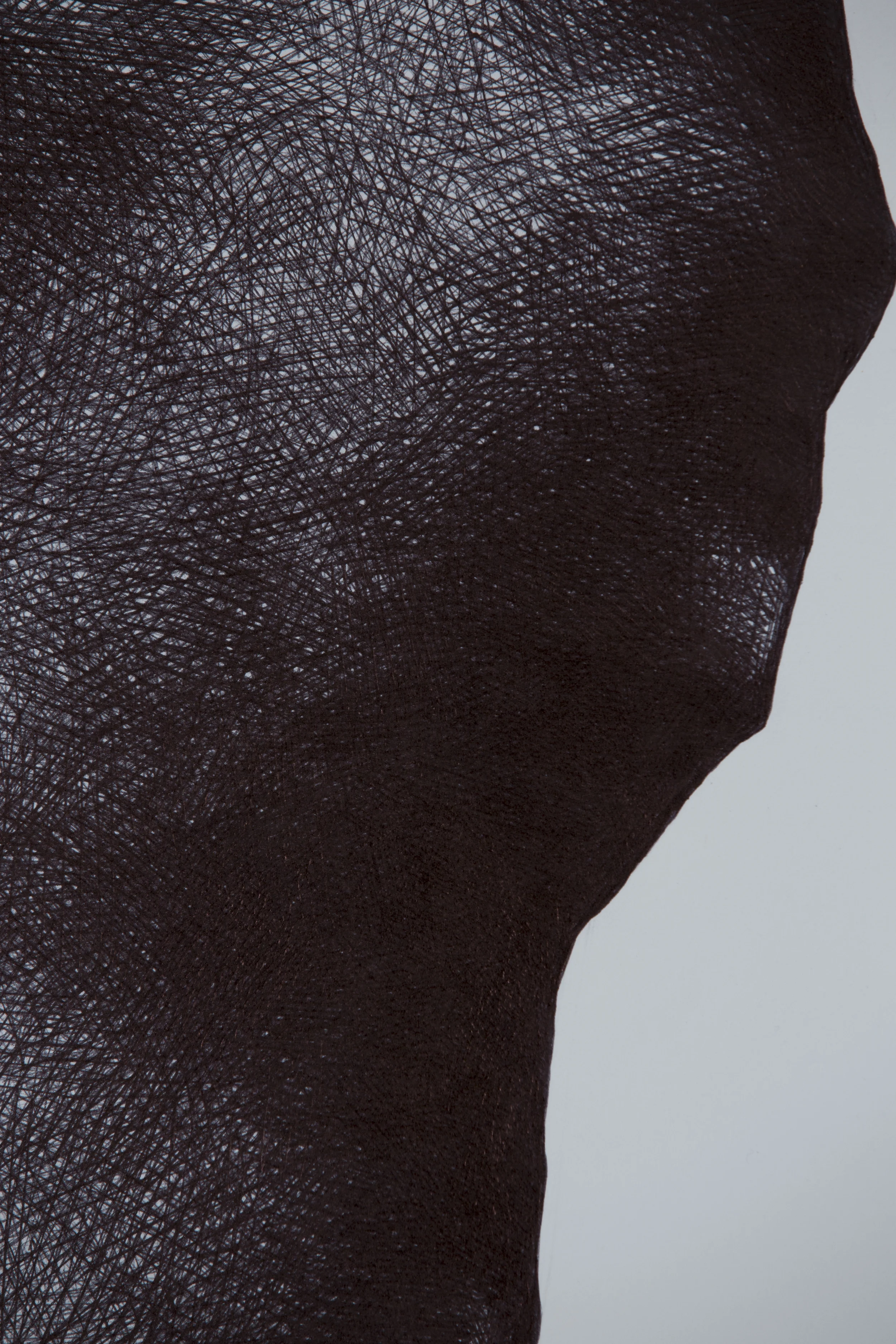 Untitled (detail), biro on watercolour paper, 2015