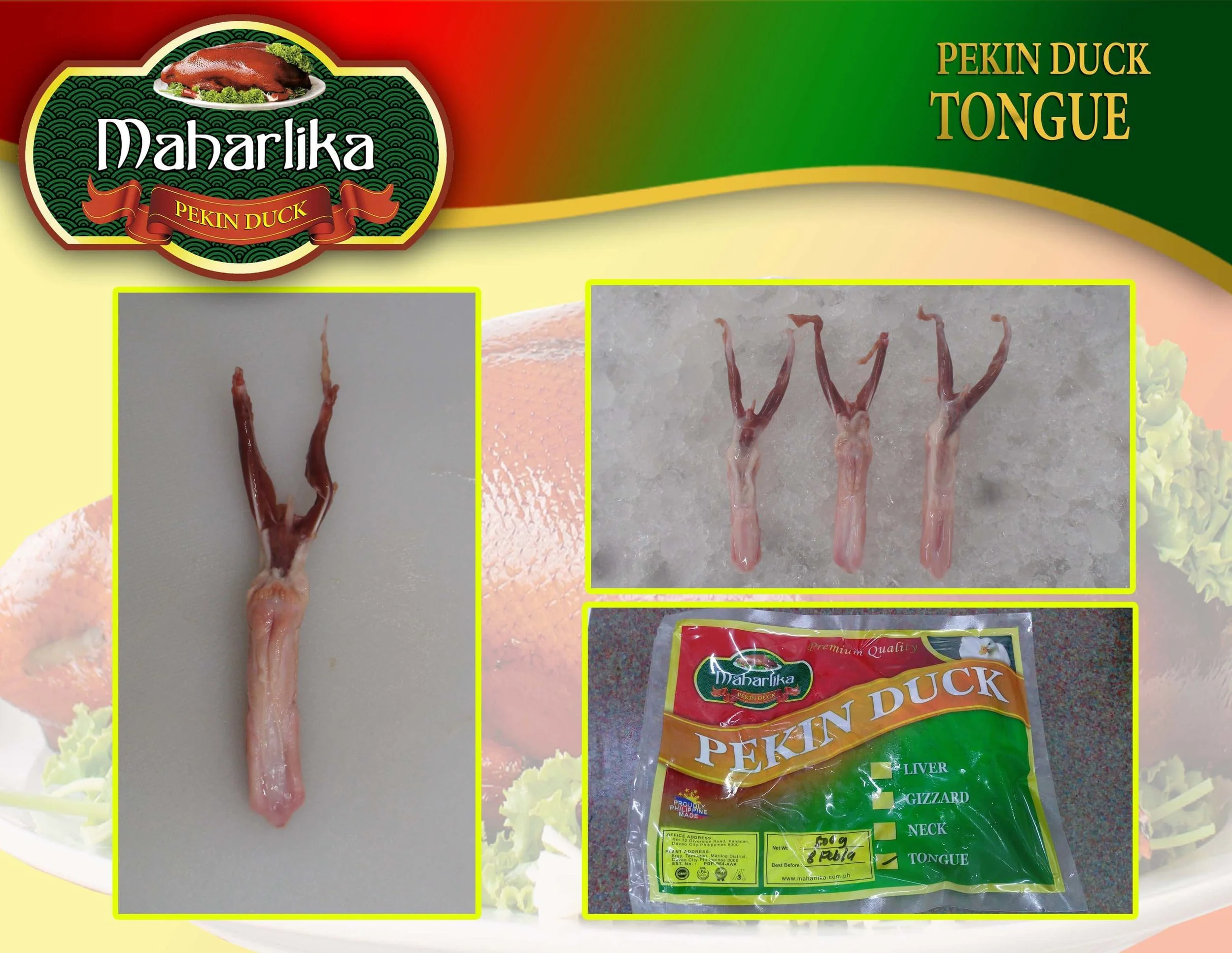 TONGUEFor more details click here