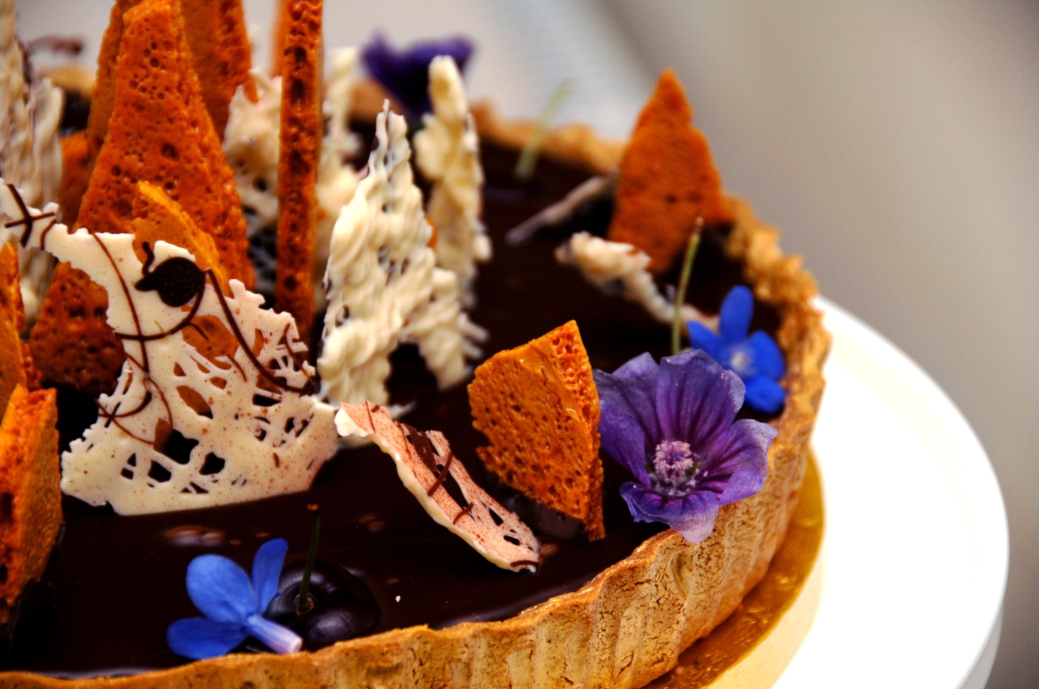 Chocolate, Honeycomb & Black Cherry Tart