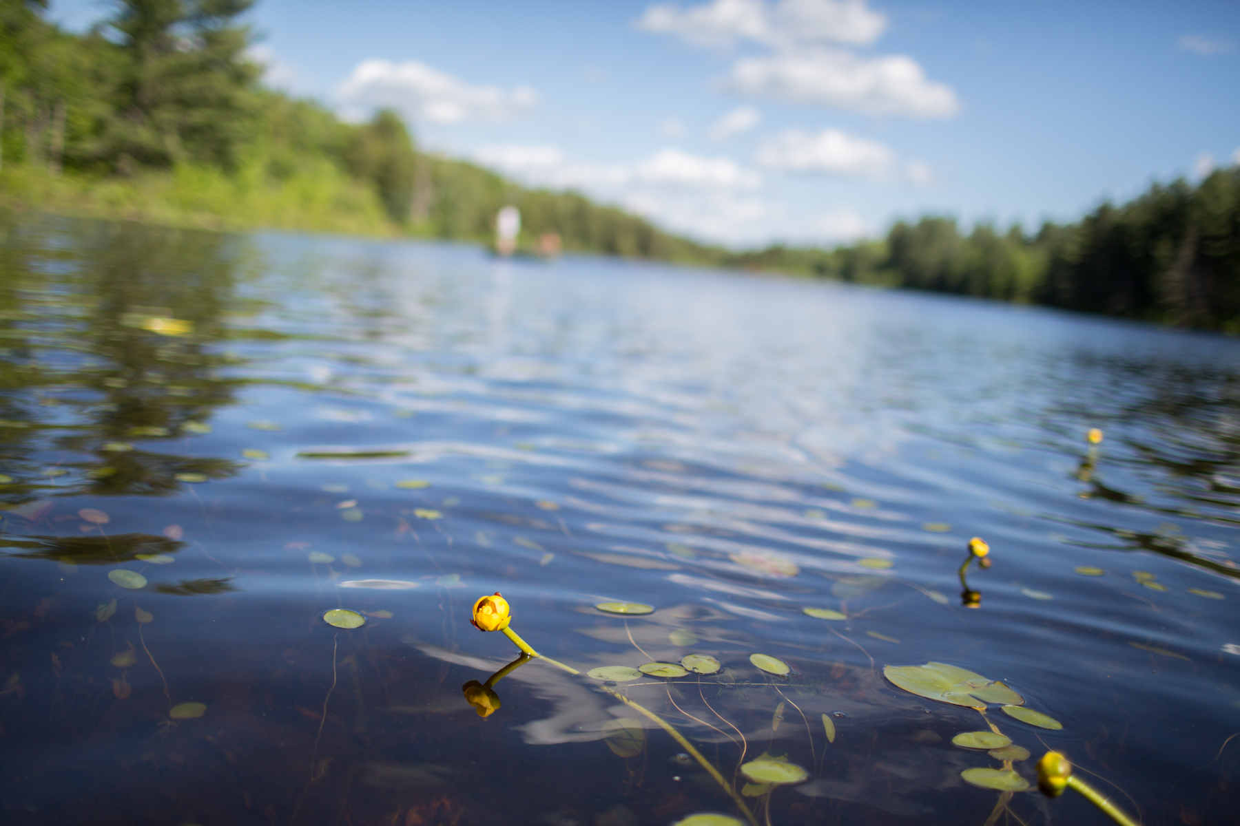 Yoga2Go_Canoeing-5.jpg