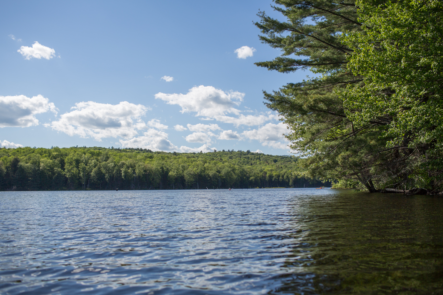 Yoga2Go_Canoeing-7.jpg
