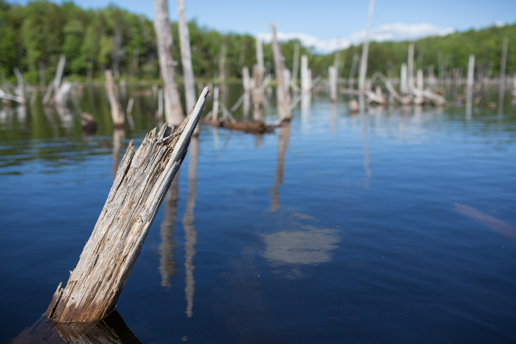 Yoga2Go_Canoeing-11.jpg