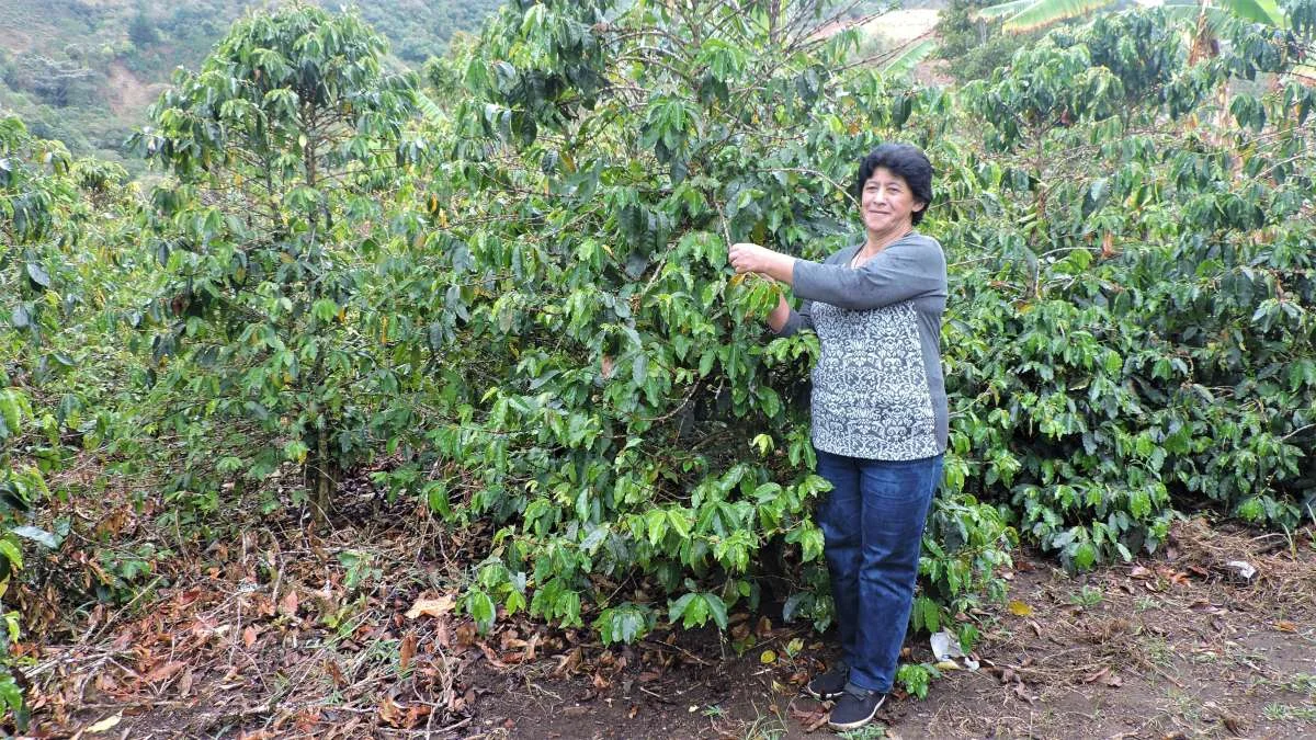 Blanca Lidia Gómez de Burbano - Finca La Laja