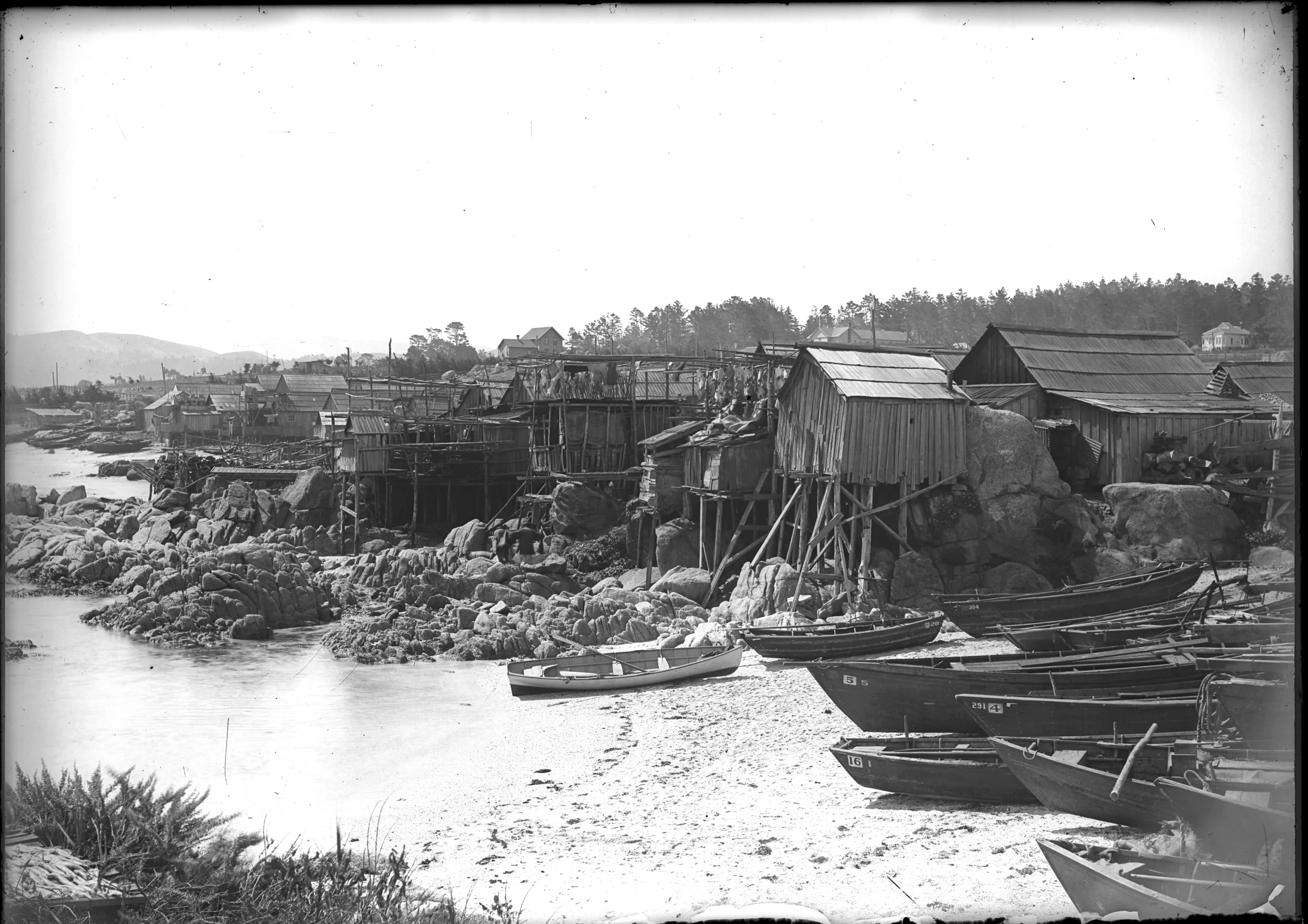 Close in view of shoreline and rocks near Point Cabrillo (also known as China Point-the current site of Hopkins Marine Station), showing sweep of Chinese village.