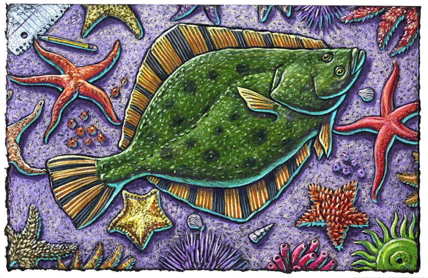 I got a message from some flounder “Man, you’re just one great big downer” Then the sea stars came out And I started to shout “Wow, this is one weird encounter!”