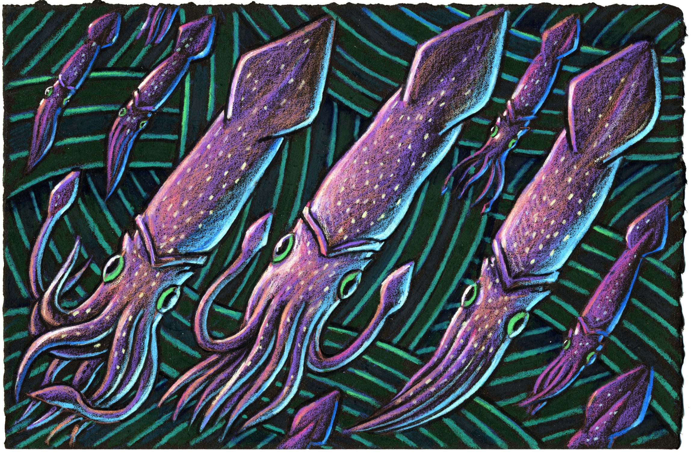 In matters concerning the squid It’s hard for me not to kid For when they make ink They can’t even blink For you see, they have no eyelids!