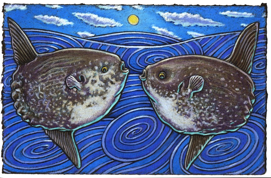 Consider the strange Mola Mola Not many fish look much bolda’ For the tail and the head Can be easily misread So remember what I’ve told ya!