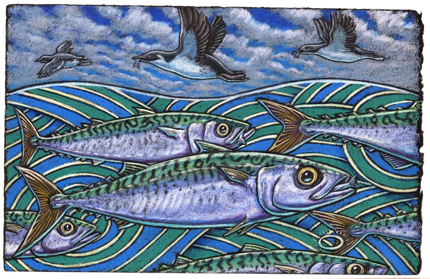 If Mackerels were holy would they fly in the sky? Amazing us all, “That’s stupendous!” we’d cry Their halos no doubt Would shine all about Causing onlookers to cover their eyes.