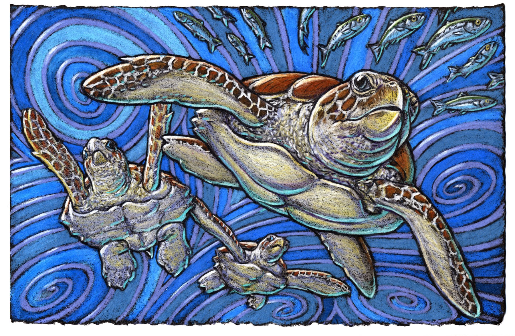 It’s fun to watch sea turtles As through the water they hurtle They glide here and there Then come up for air Oh the marvelous Loggerhead turtle.
