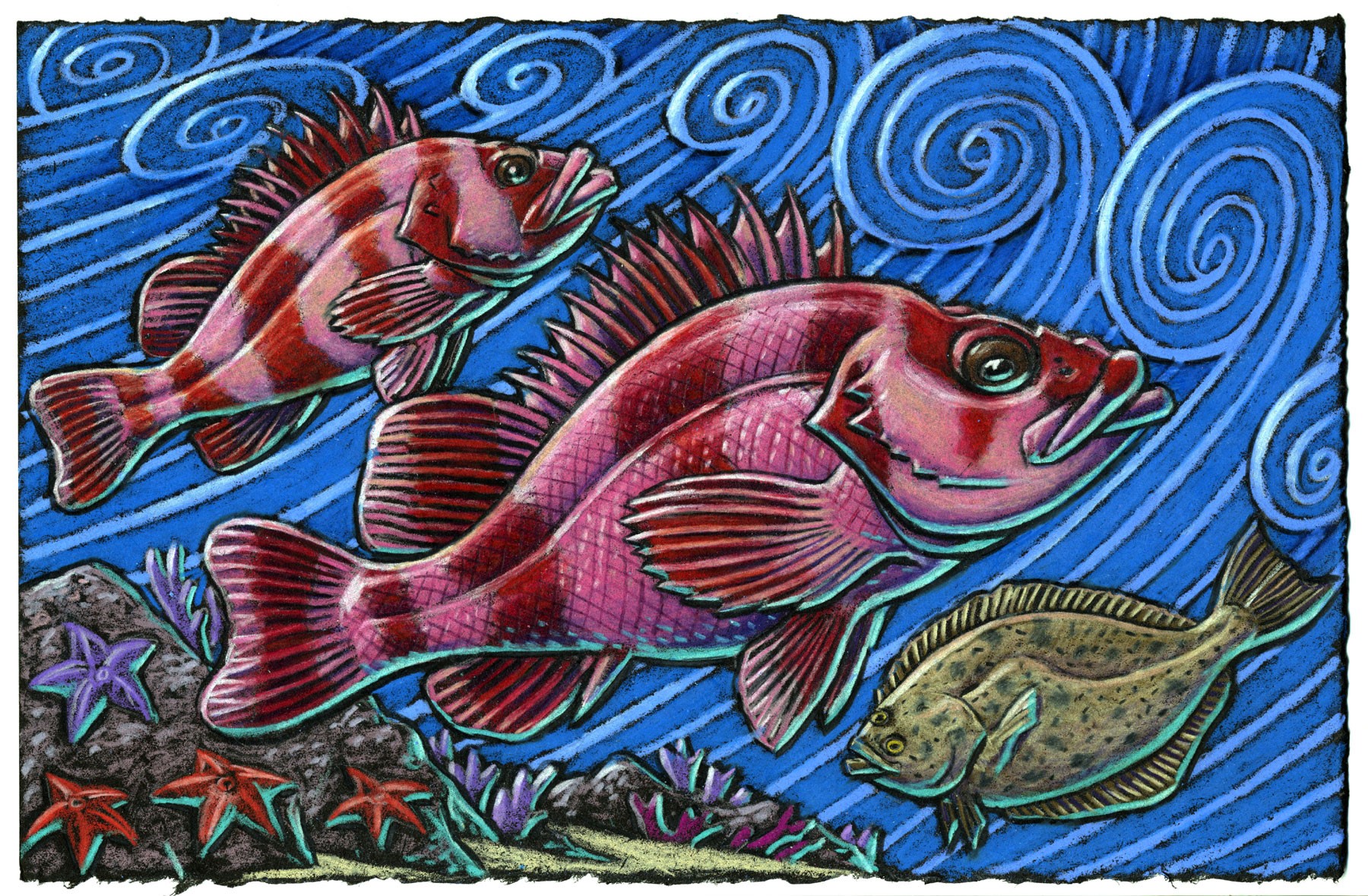 I am happy and oh so content Thinking of a fish dubbed “magnificent” For a rockfish called Flag Is really my bag Fish nerds must always represent!