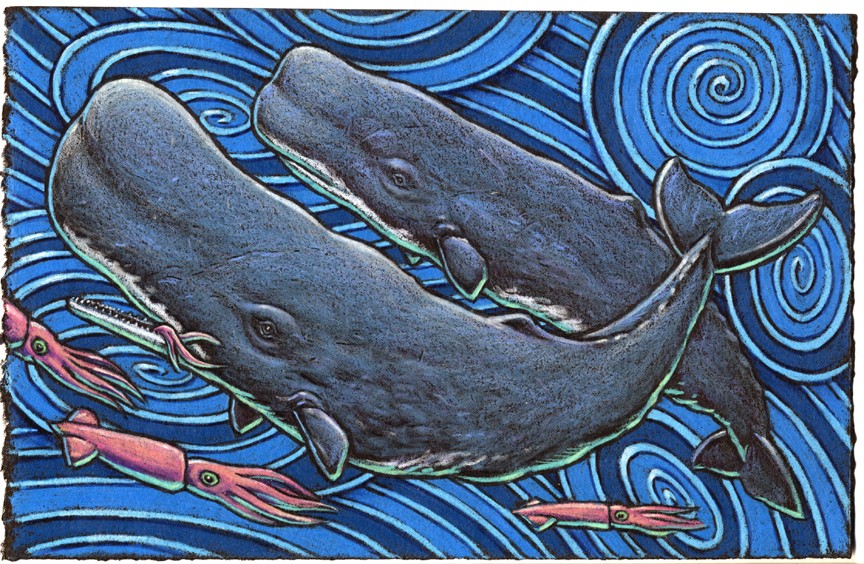 Sperm whales dive down in the deep To chase a creature using loud sonic bleeps They eat giant squid And I really don’t kid That it kind of gives me the creeps.