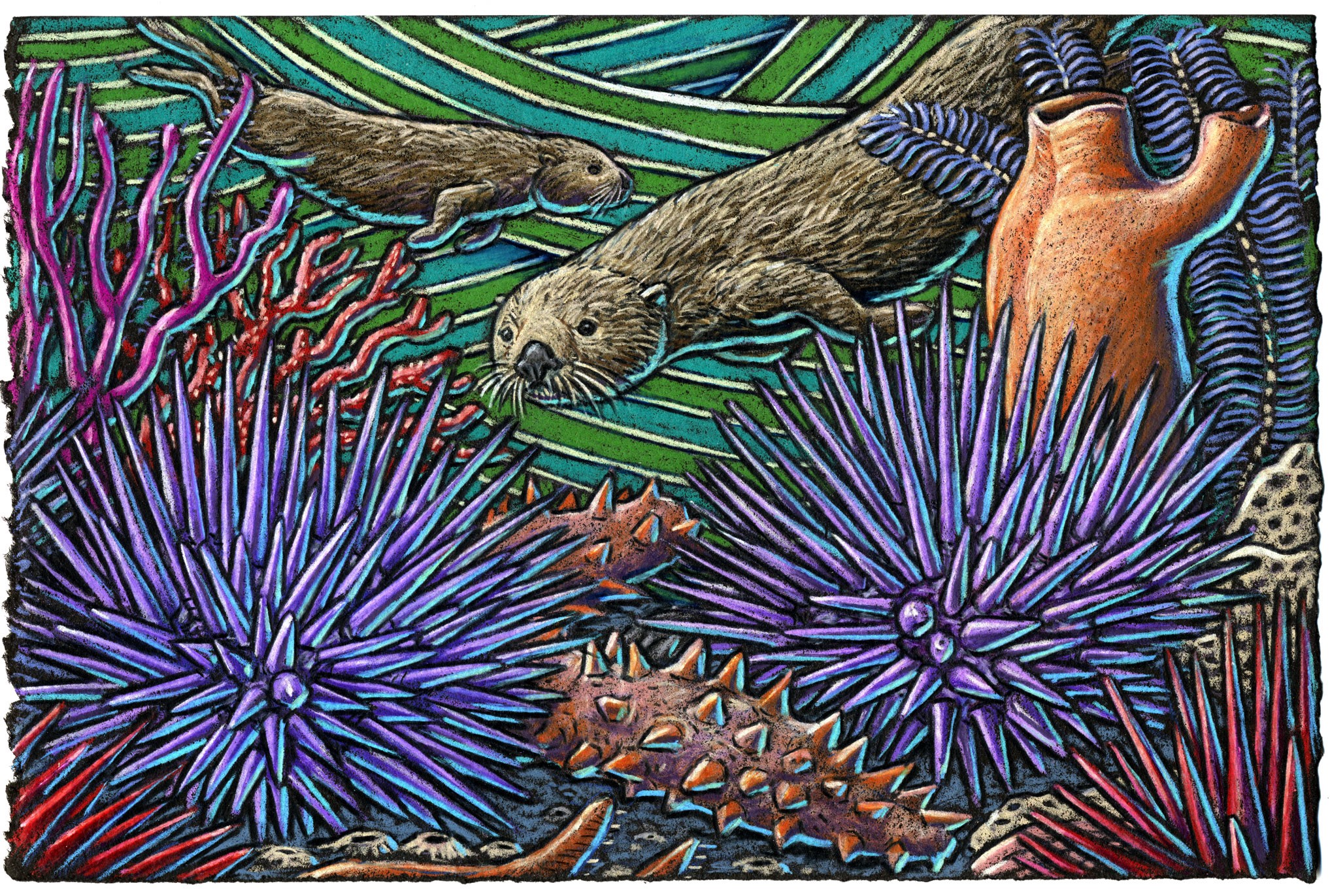 Sea otters are always searchin’ For the prickly purple sea urchin Then they lay on their backs And eat ‘em like snacks While in the waves they’re a’ lurchin’.
