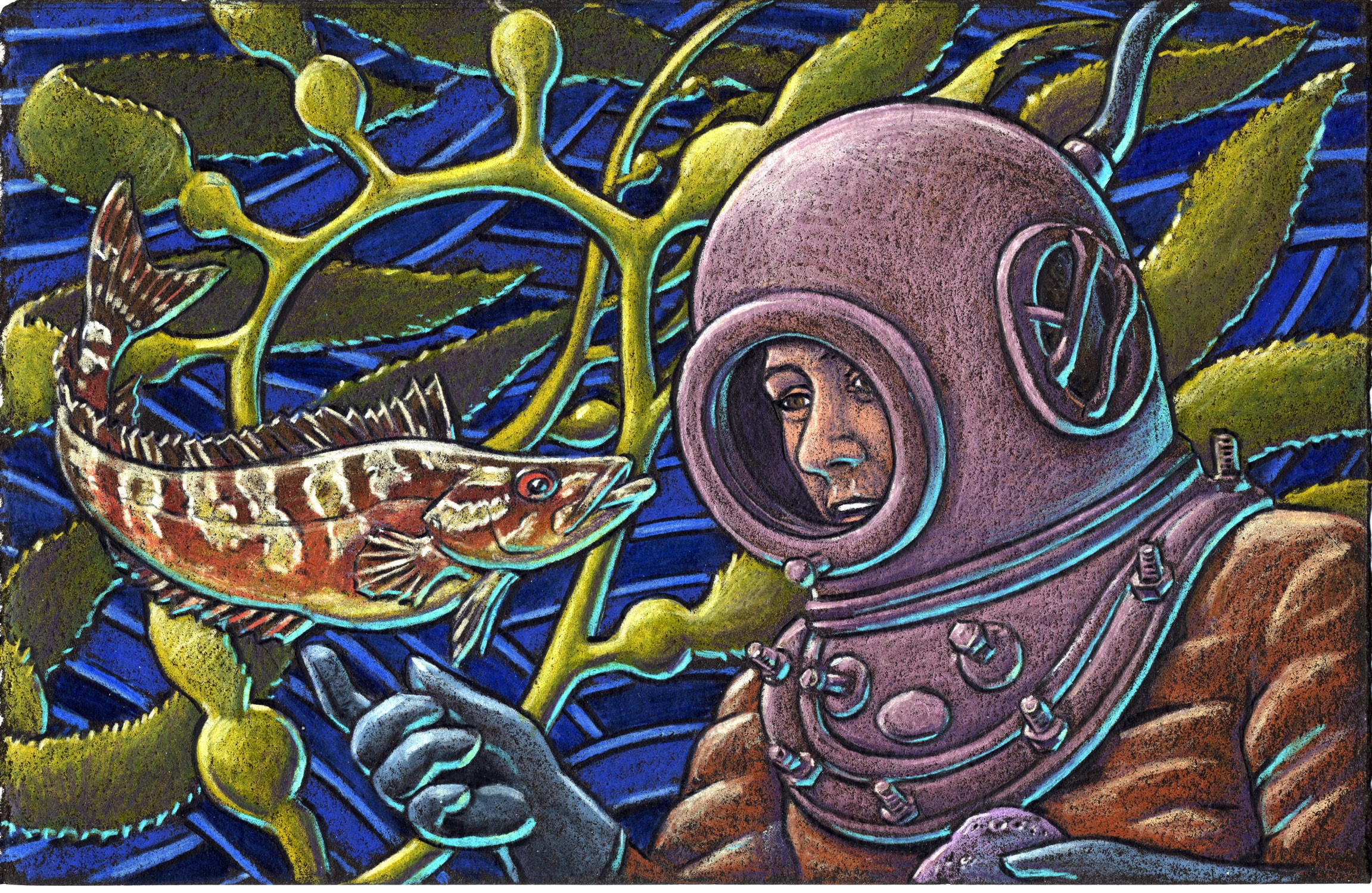 Hardhat divers dive down very deep For tasty morsels to harvest and reap As the kelpfish looks in At the divers wide grin A special moment to treasure and keep. 