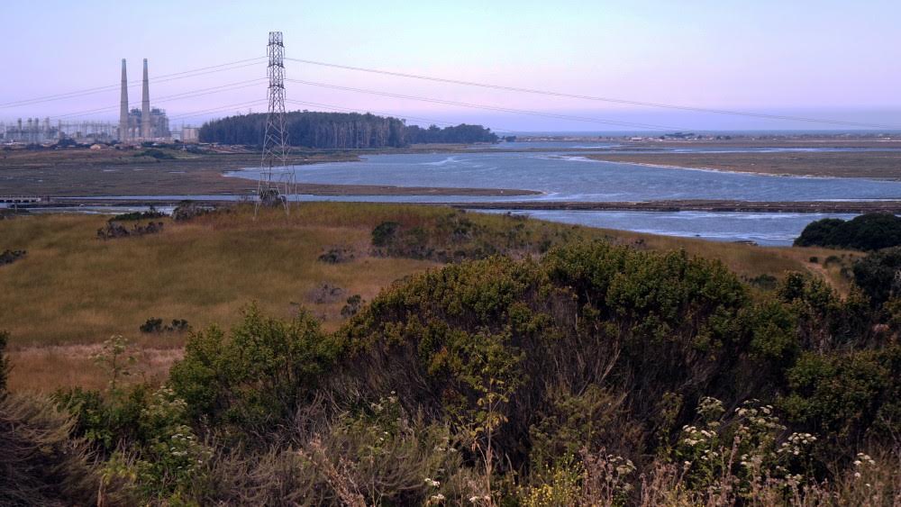 Look for our second Elkhorn Slough Day Hike on August 20th.