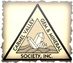 CVGMS.png