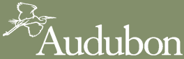 Audubon.png