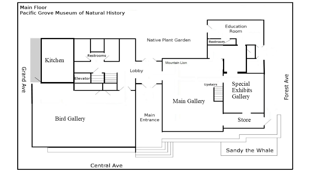 Museum floor plan excluding floating exhibits.