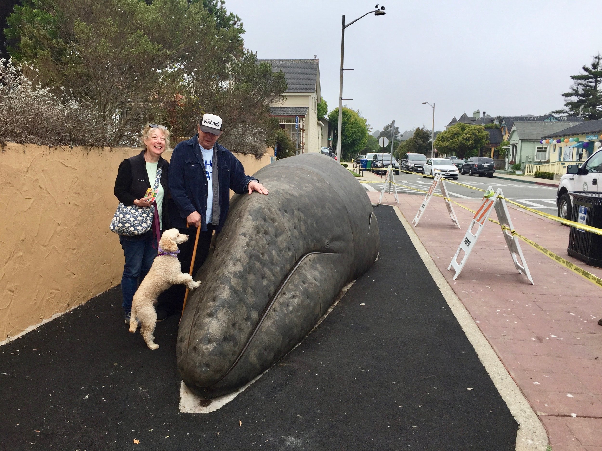 The Fosters in glory and appreciation. Mary and Larry with Jack as he inspects the work. Forty-four years after fabrication and years of national travel, Sandy found her way into the hearts and home of Pacific Grove. Now she is fit for another few generations, as her dedication plaque reads, ‘presented to The Children of Monterey County.’