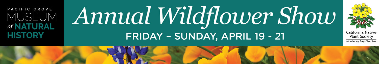 wildflower-show-banner-1500x257.jpg