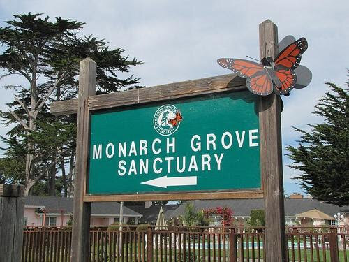 monarch-sanctuary-sign-500x375.jpg