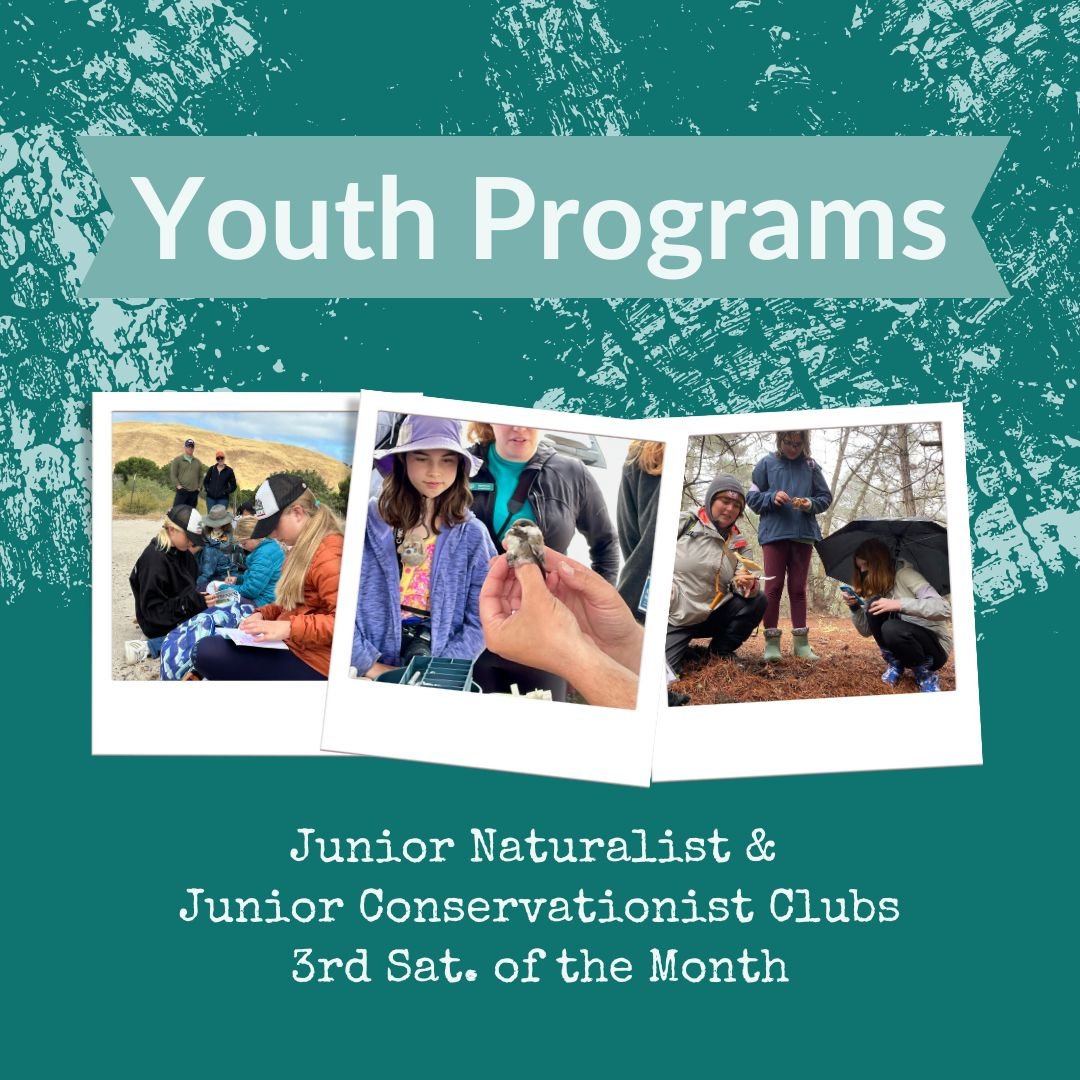 Junior Naturalists and Conservationists