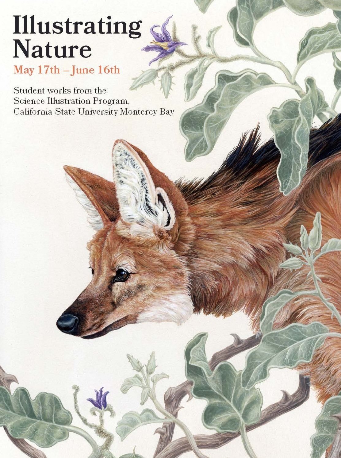   ILLUSTRATING NATURE RUNS MAY 17 - JUNE 16    Learn More  