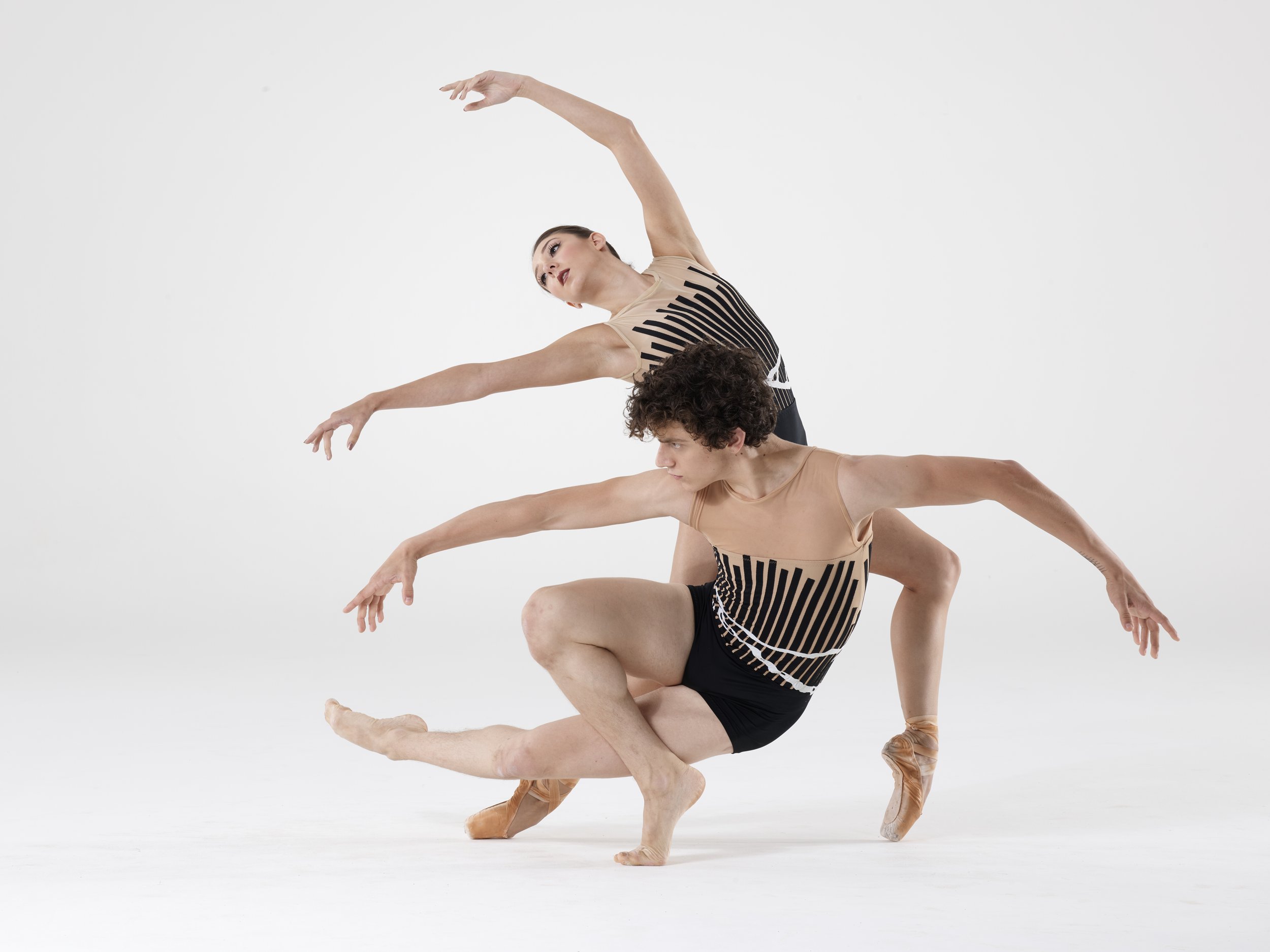 Amy Seiwert's Imagery, Photo: David DeSilva