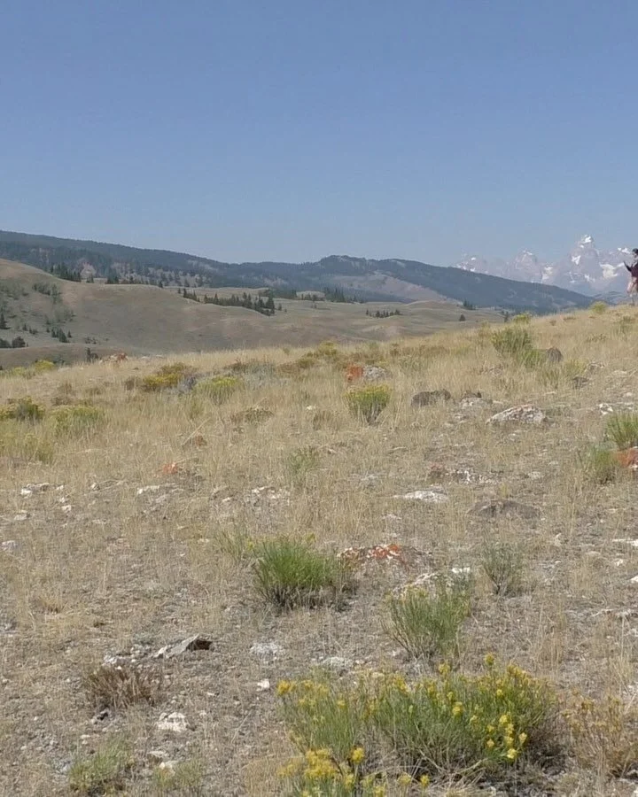 All thoughts to the west 🧡

Clips from an ongoing video project, &ldquo;Perimeters&rdquo;. The full project thus far is Included in &lsquo;Even in Arcadia There I Am&rsquo; curated by @gardnerae opening tonight @hesse_flatow in concert with a host o