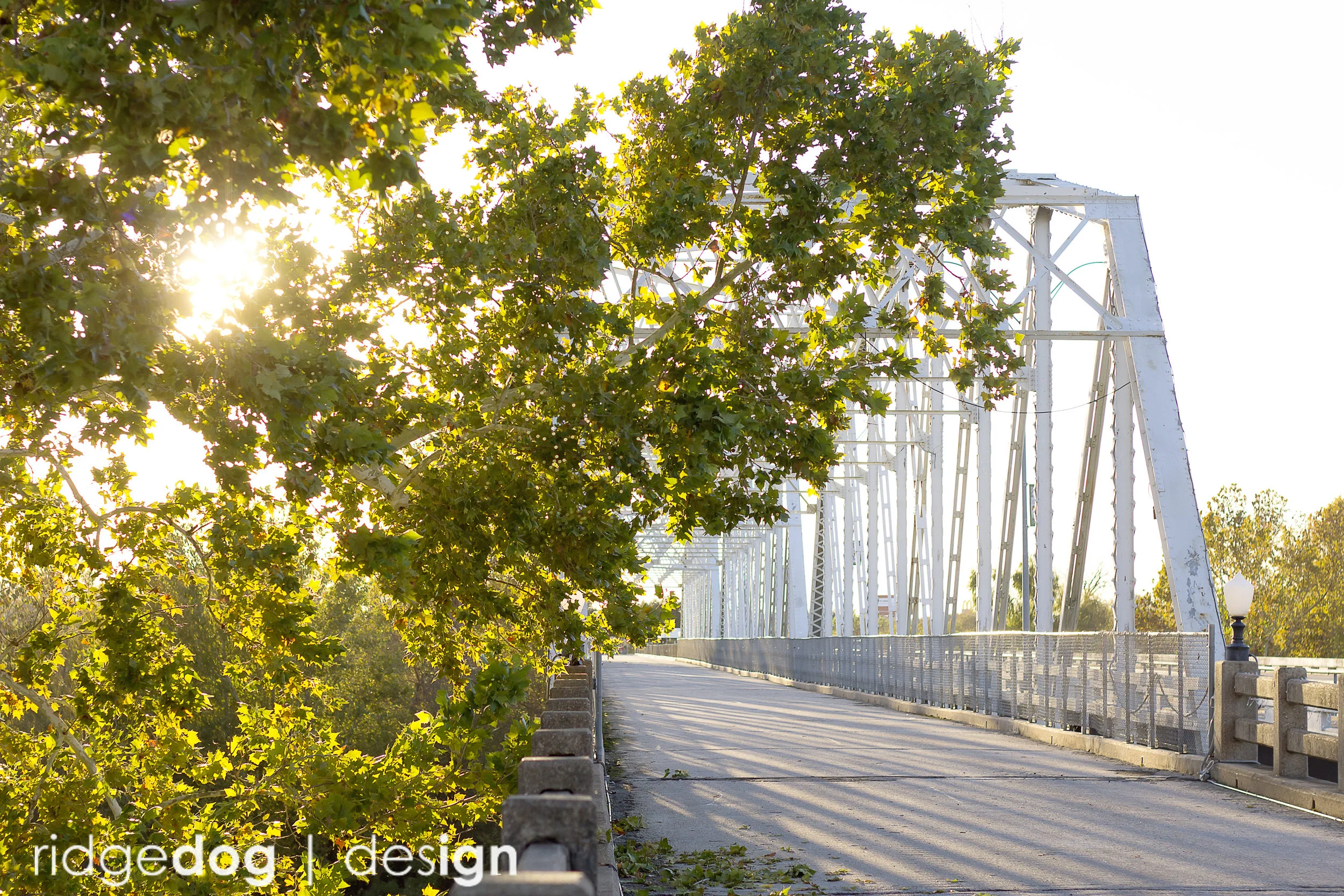 Bridge.jpg