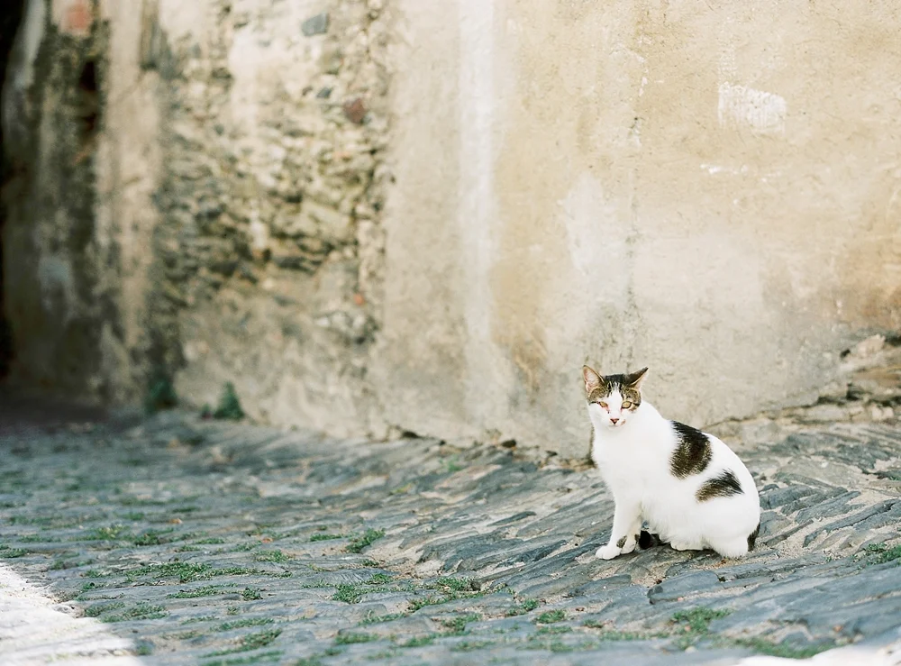 wedding_cadaques_0027