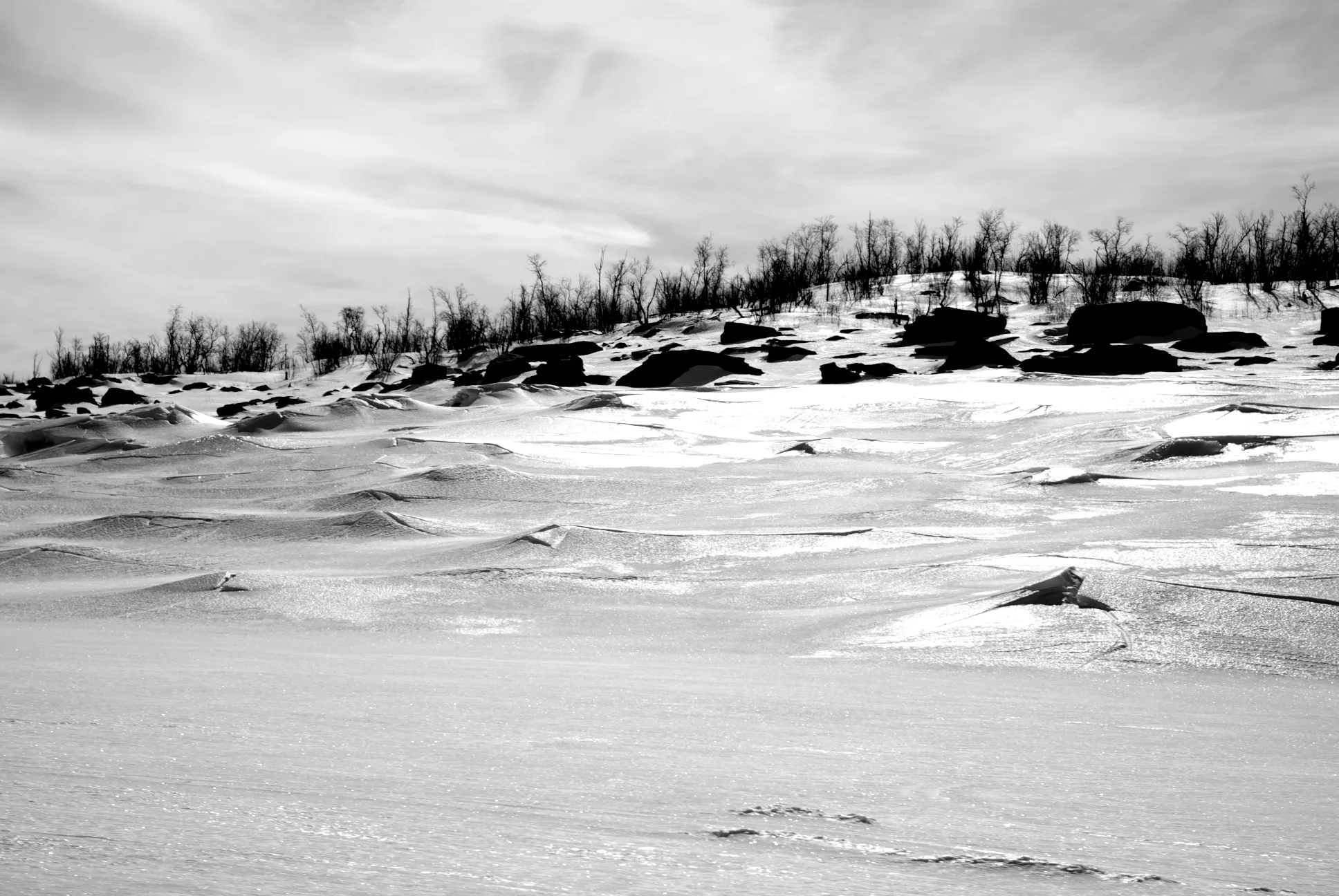 DSC_9107.jpg
